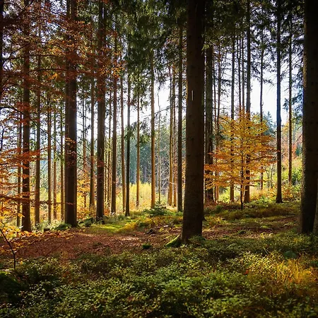 Leonfeldner-hof 3* Bad Leonfelden