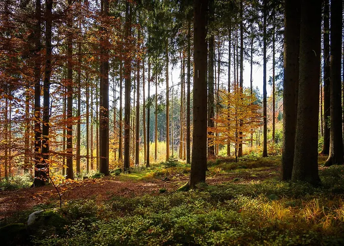 Leonfeldner-hof 3* Bad Leonfelden